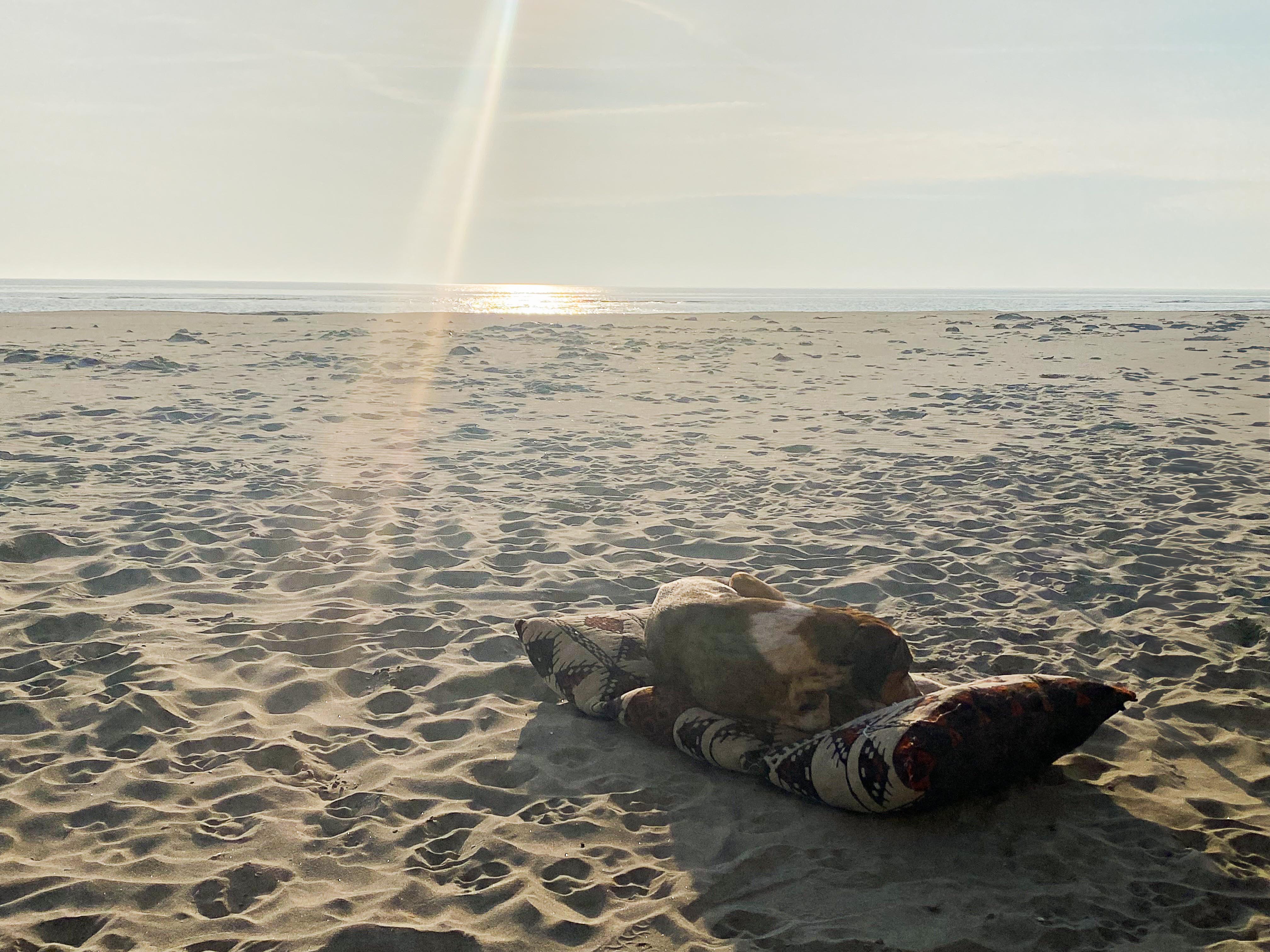 Strand2