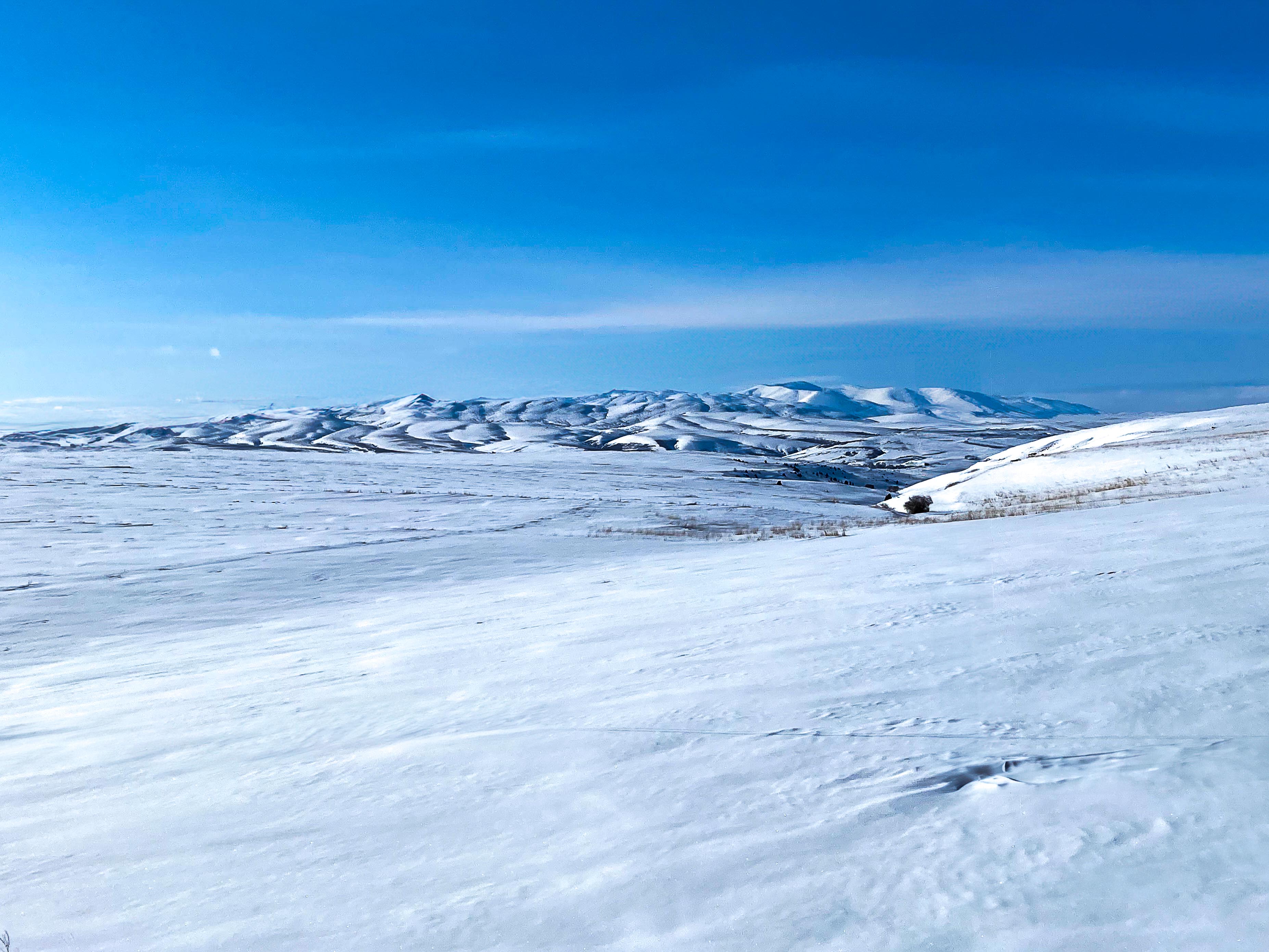 Winter4