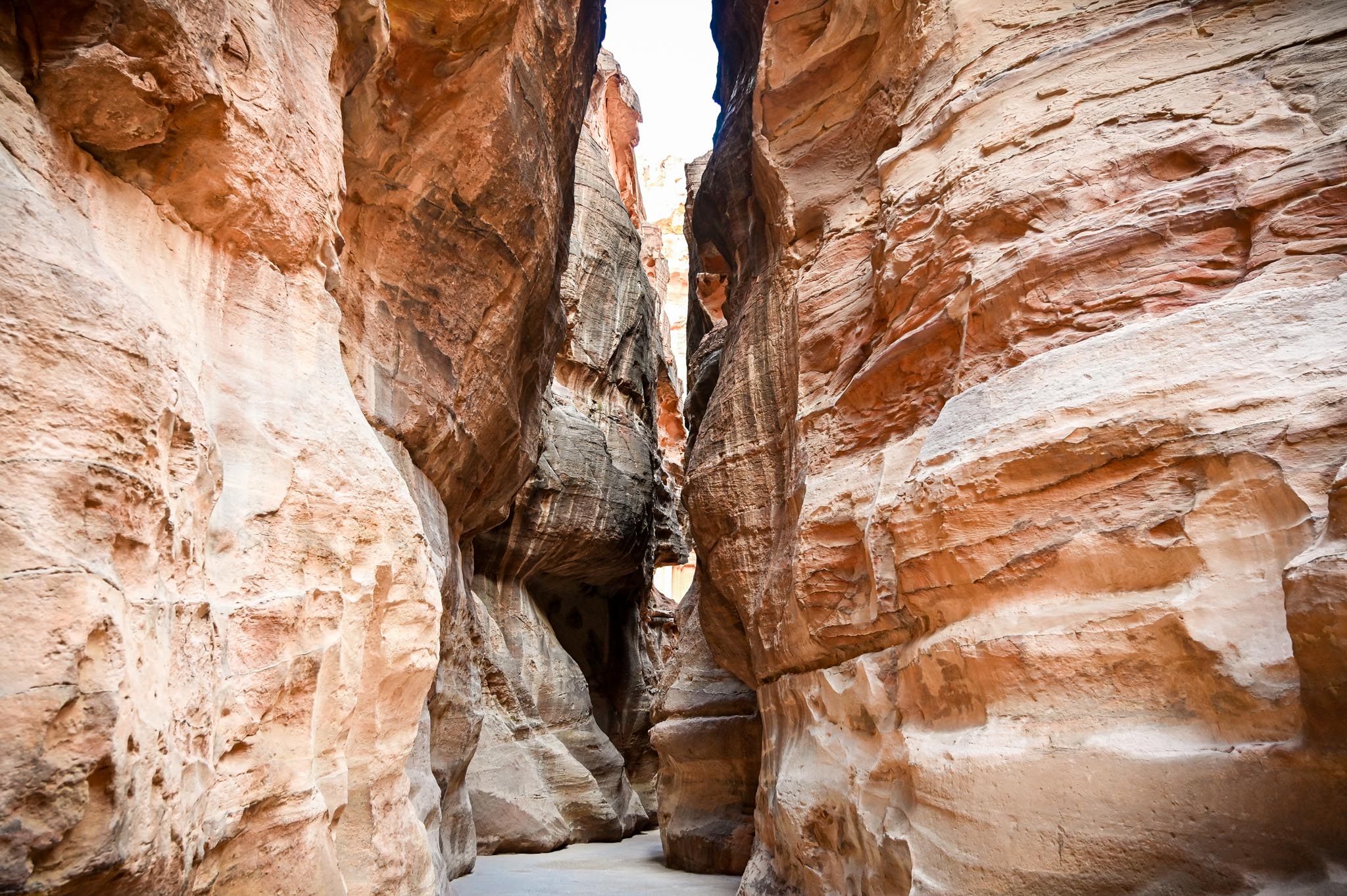 Petra Schlucht1